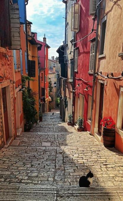 Little Heaven Apartment Rovinj Exterior foto